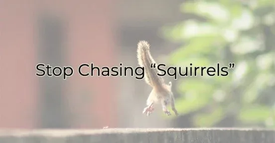 Stop Chasing Squirrels, Greater Medina Chamber of Commerce blog post