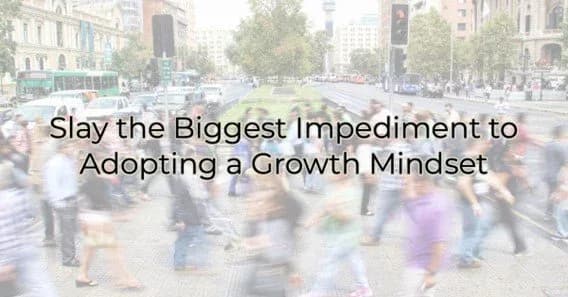 Slay the Biggest Impediment to Adopting a Growth Mindset, Greater Medina Chamber of Commerce blog post